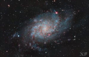 M33